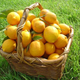 Illustration for article titled Whats Your Best (Worst) Lemon Story?